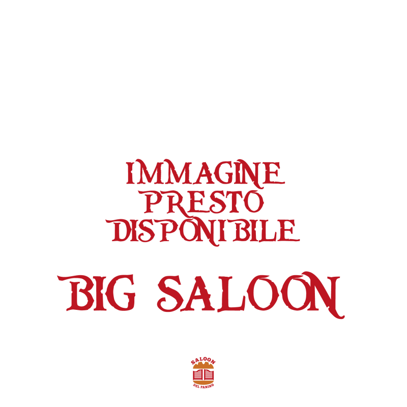 BIG SALOON